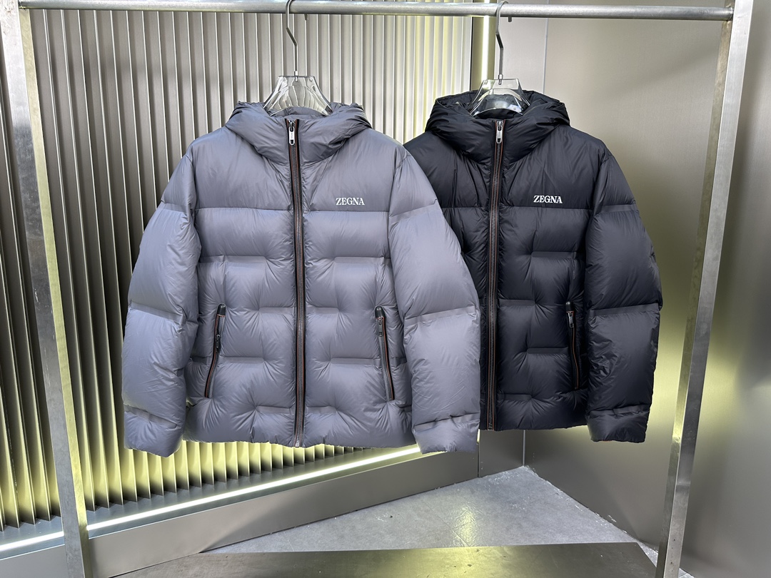 Zegna Down Jackets